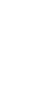 PNUD logo